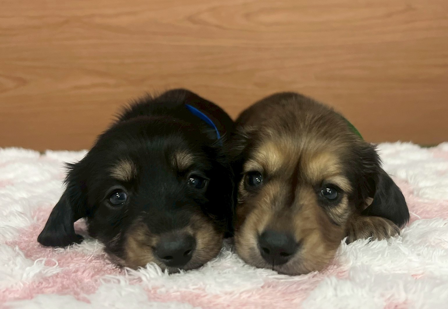 赤ちゃん写真2-3