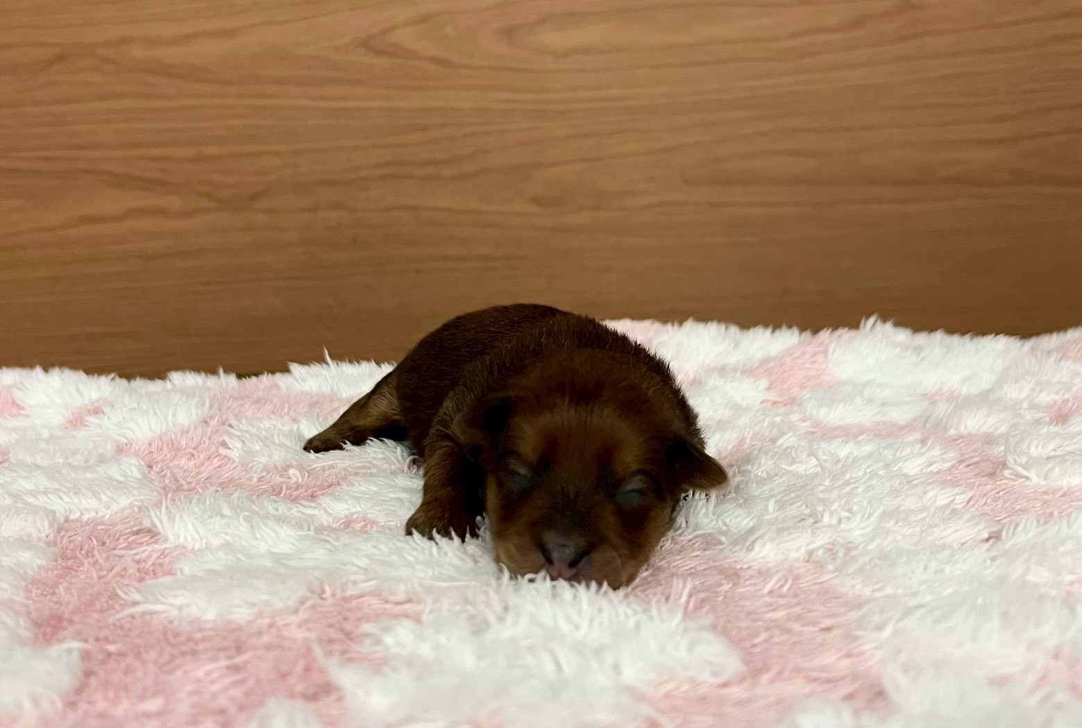 赤ちゃん写真1-1