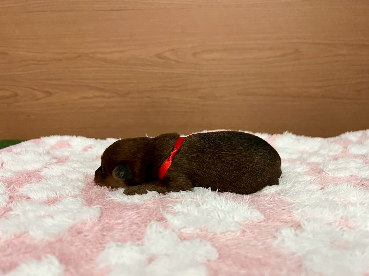 赤ちゃん写真1-2