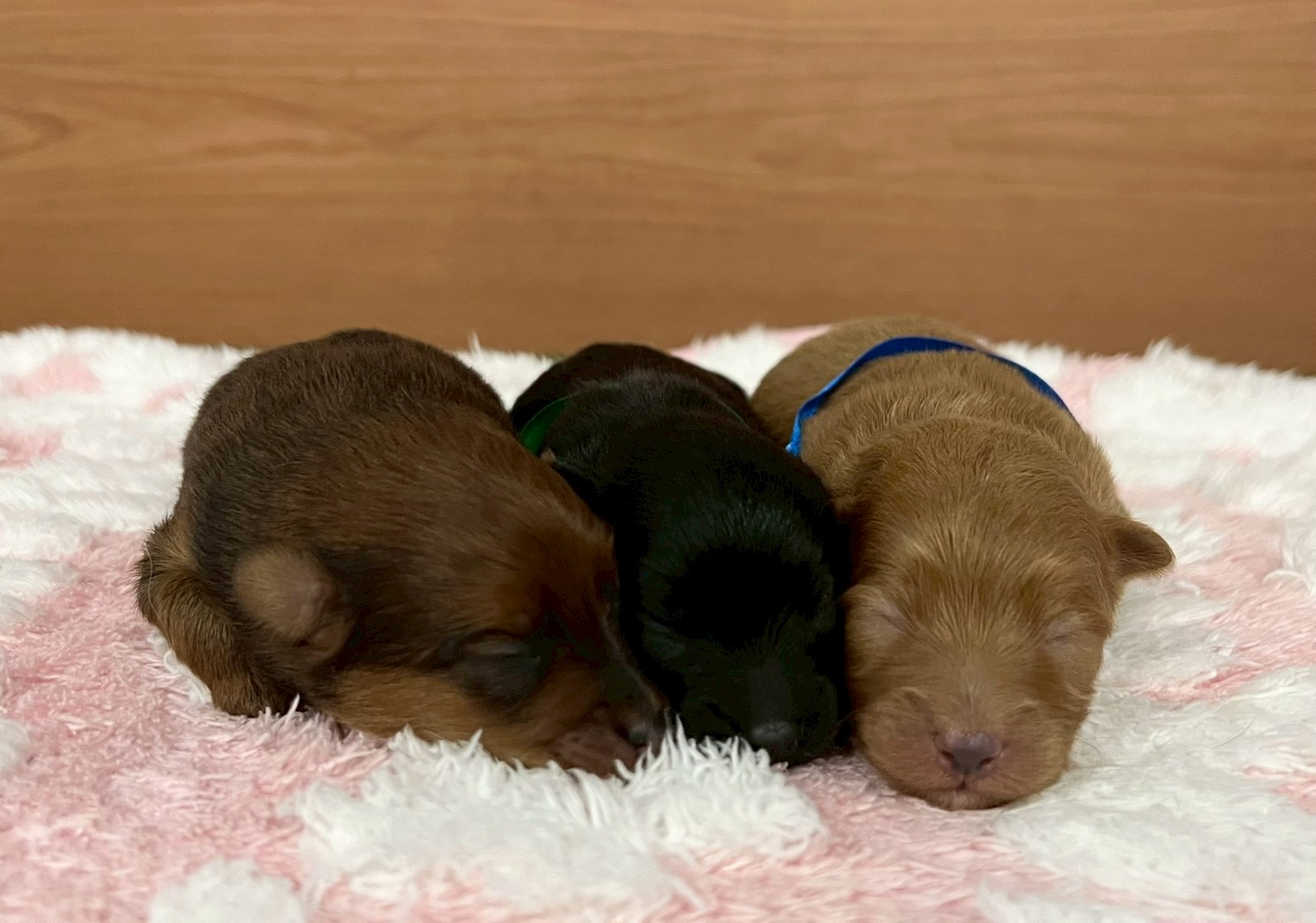 赤ちゃん写真1-3