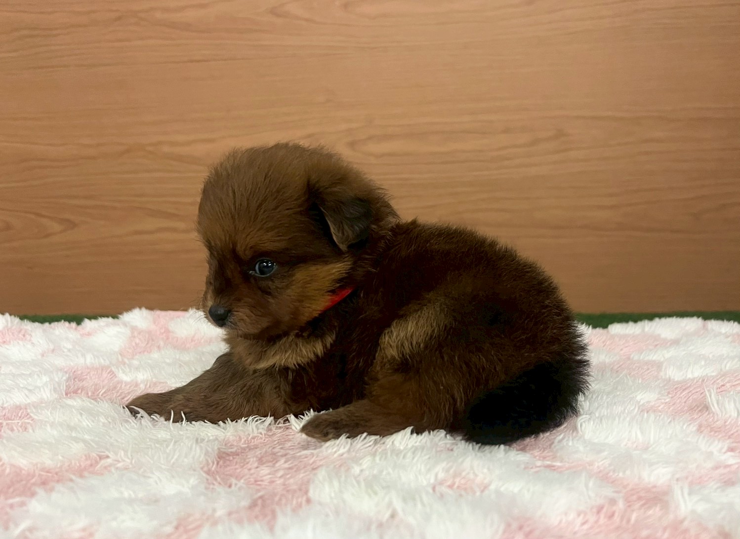 赤ちゃん写真2-2