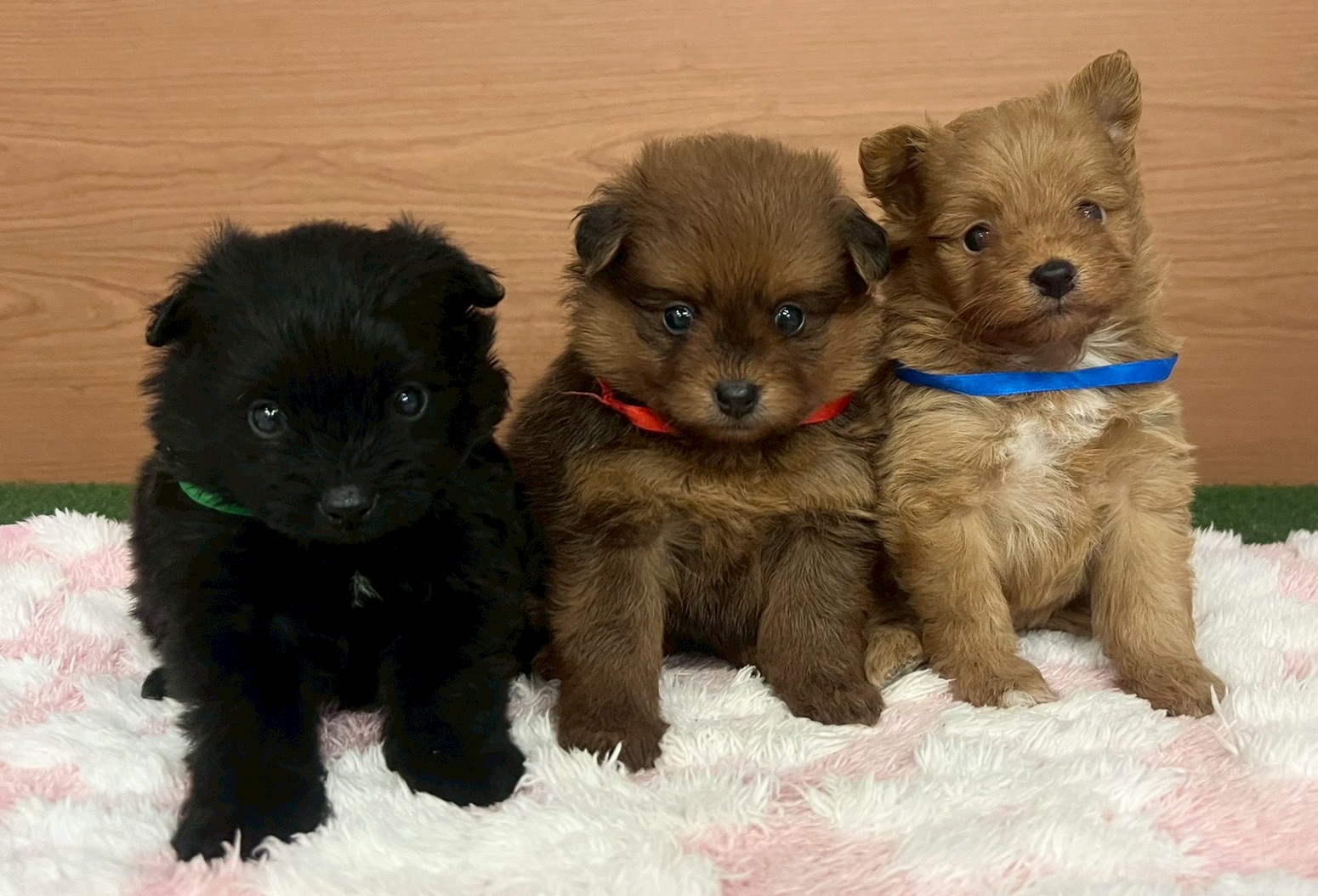 赤ちゃん写真2-3