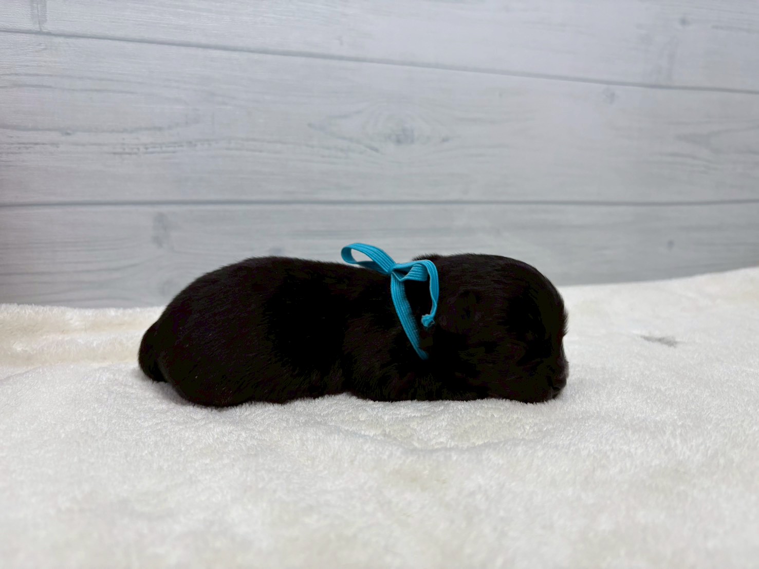 赤ちゃん写真1-2