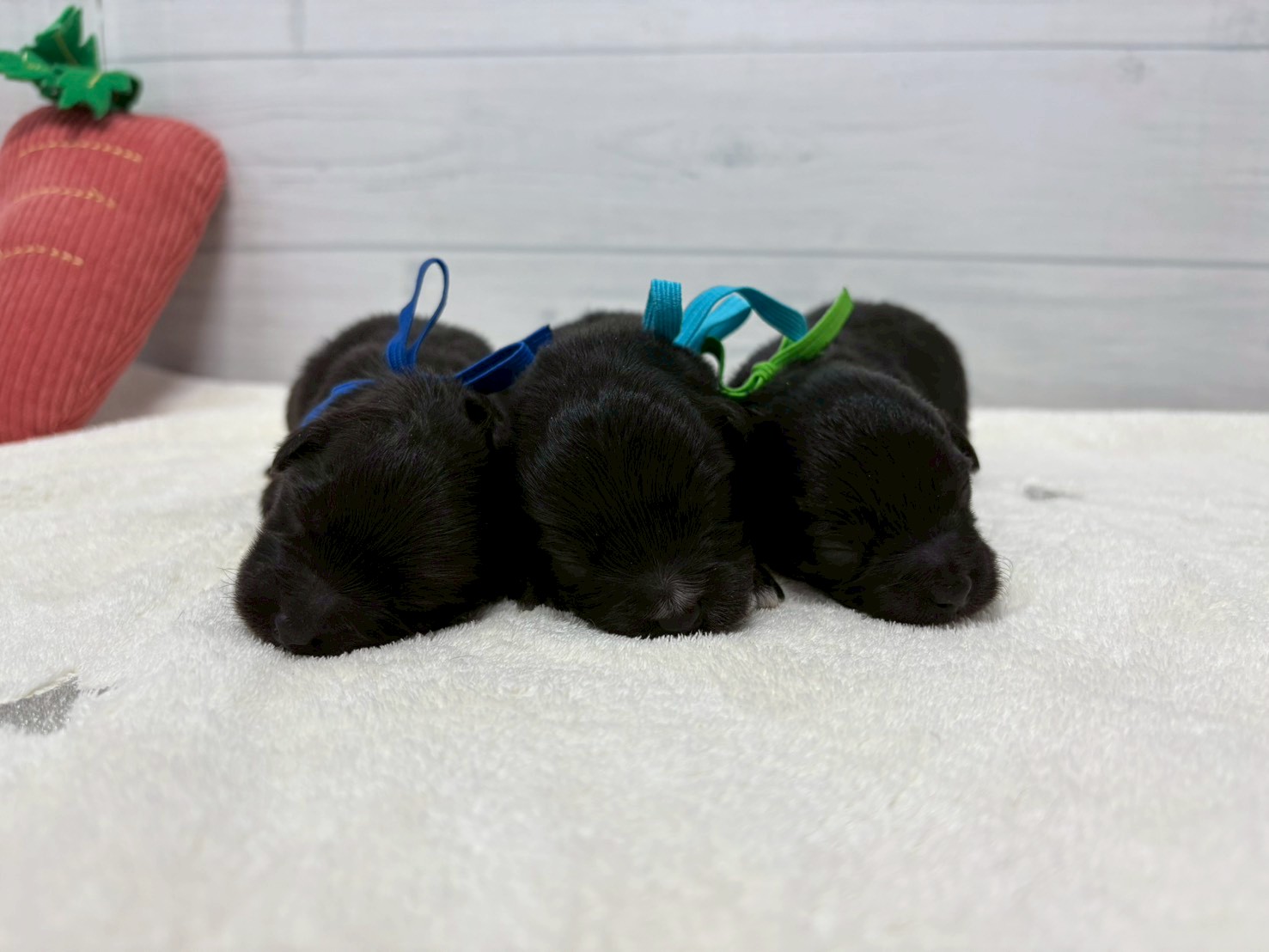 赤ちゃん写真1-3