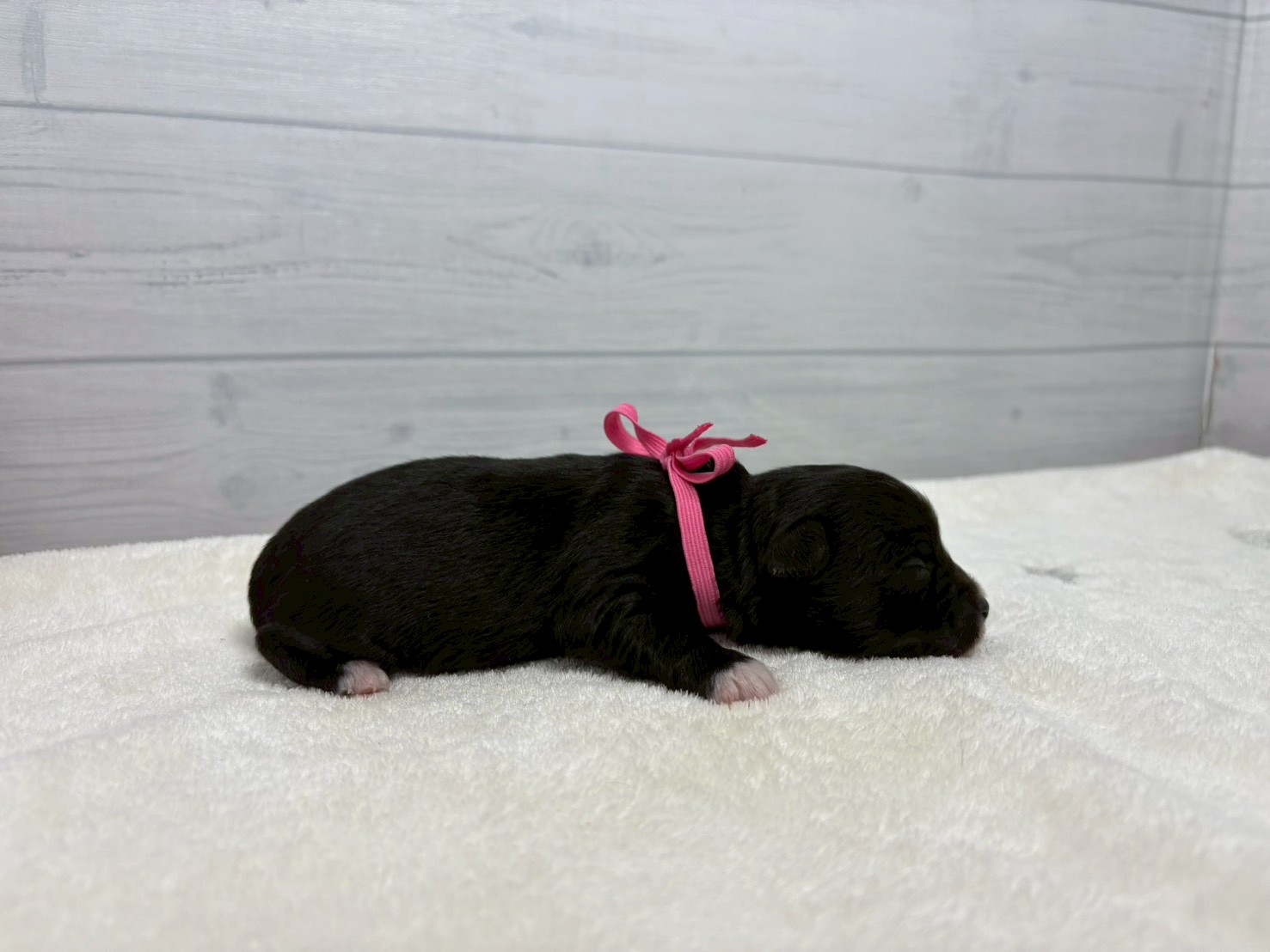 赤ちゃん写真1-2