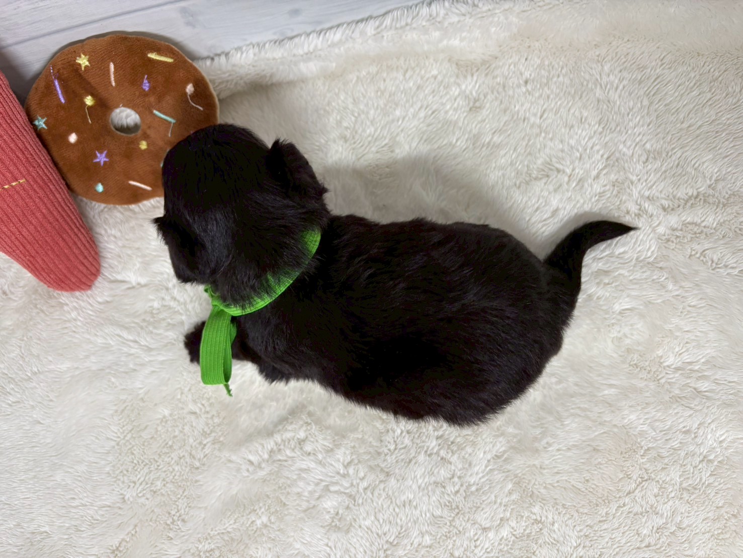 赤ちゃん写真2-3