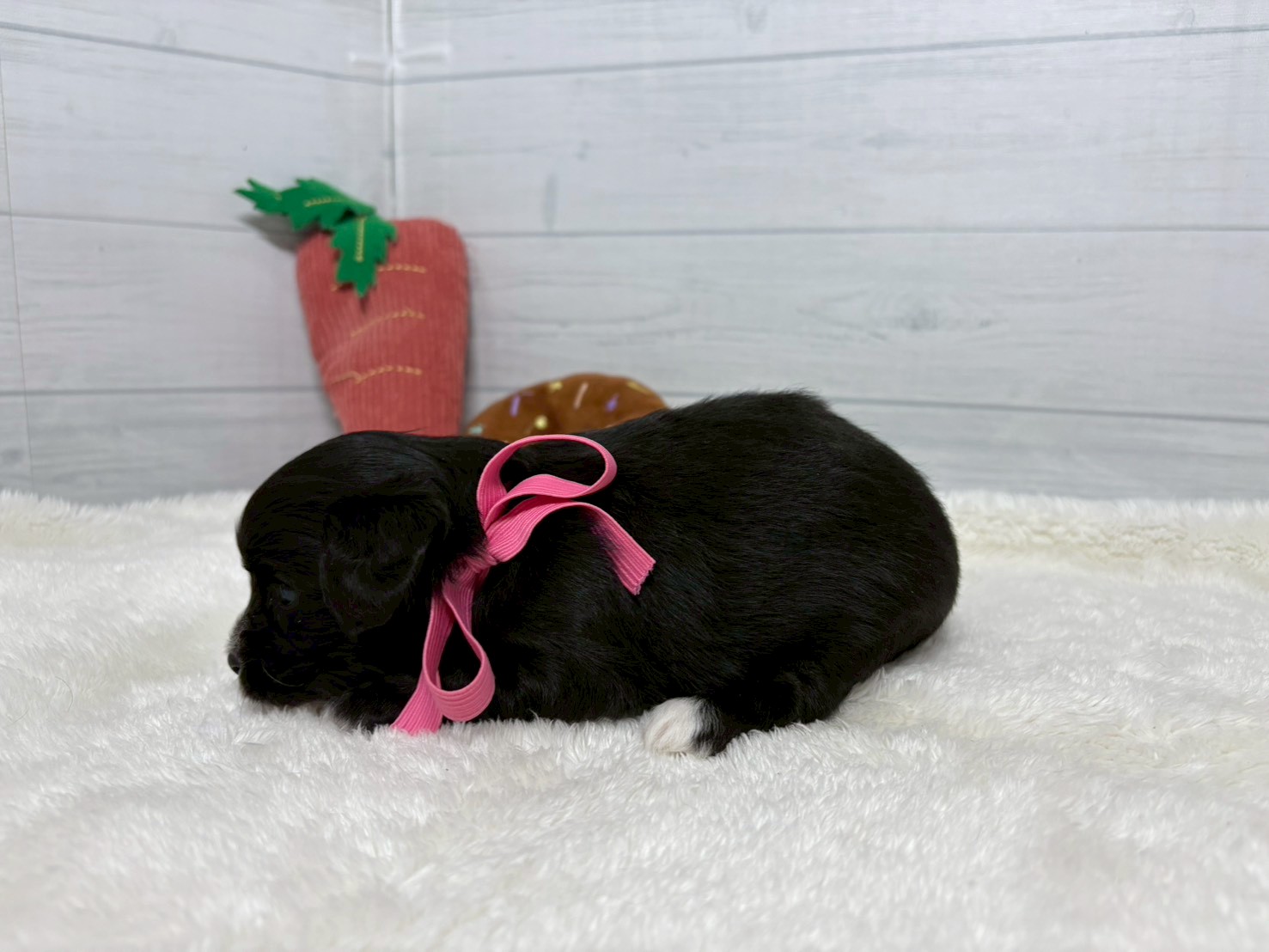 赤ちゃん写真2-2