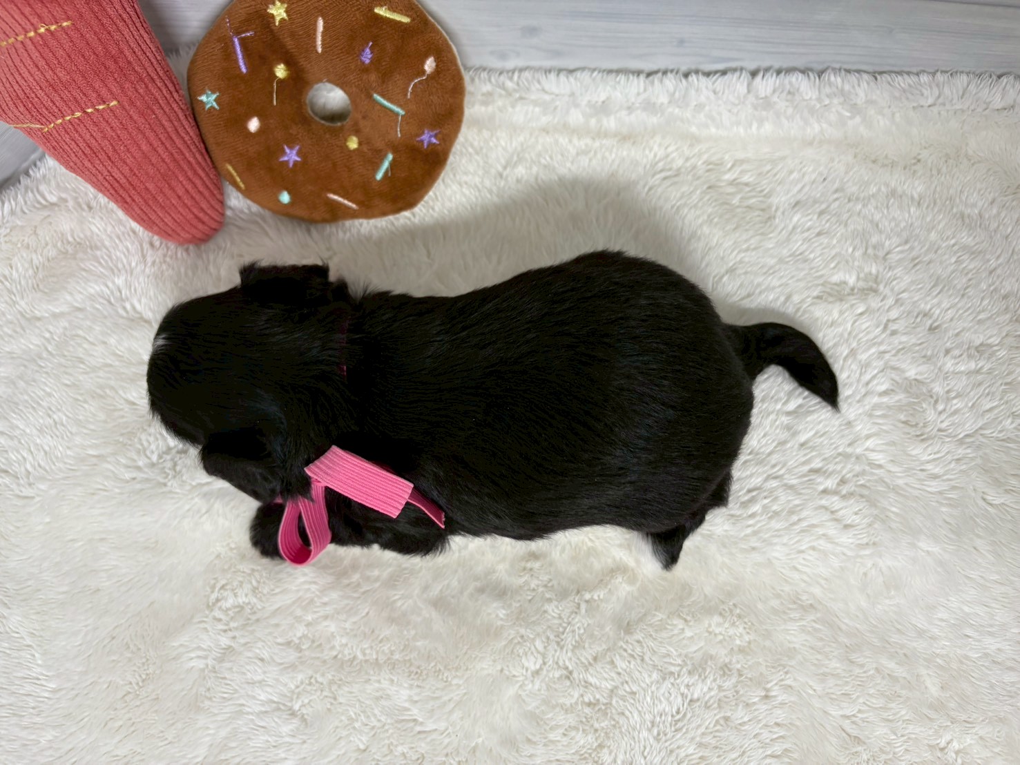 赤ちゃん写真2-3