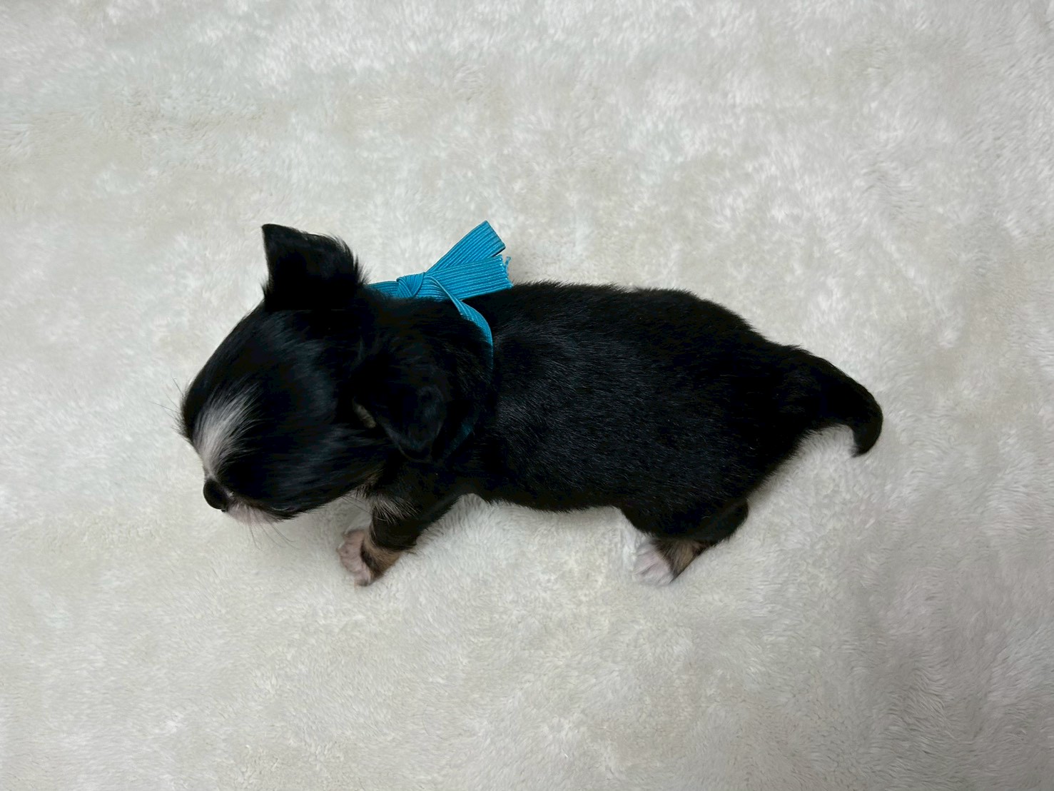 赤ちゃん写真2-3