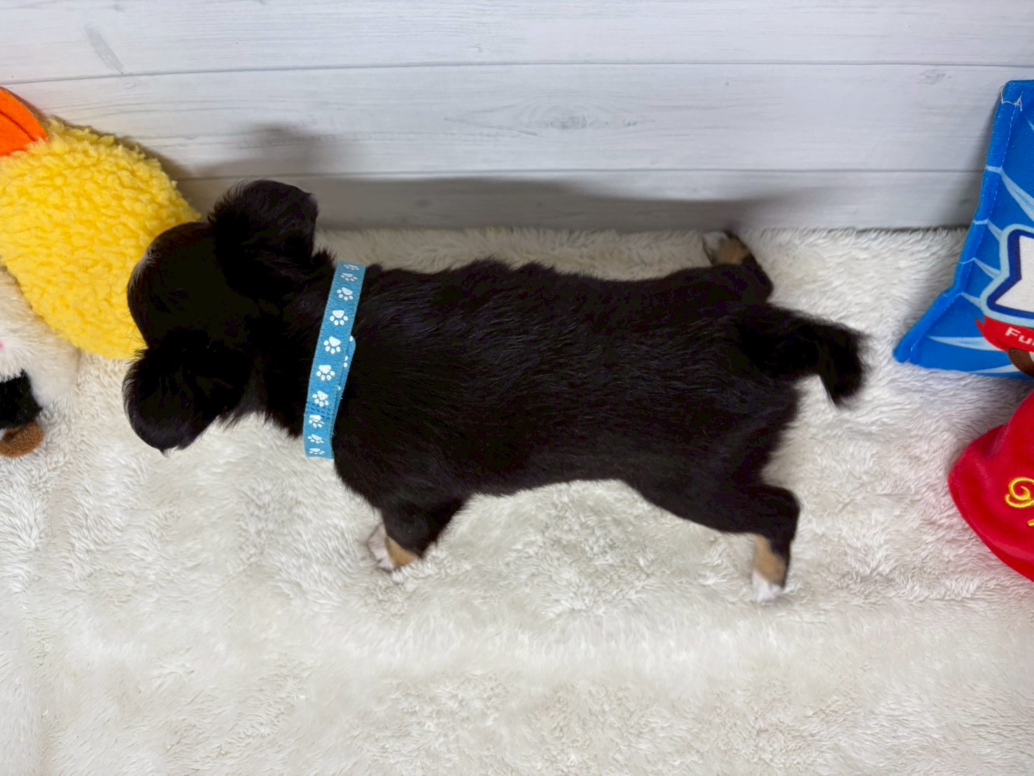 赤ちゃん写真3-3
