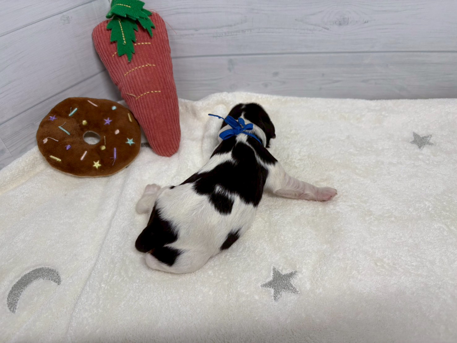 赤ちゃん写真1-3