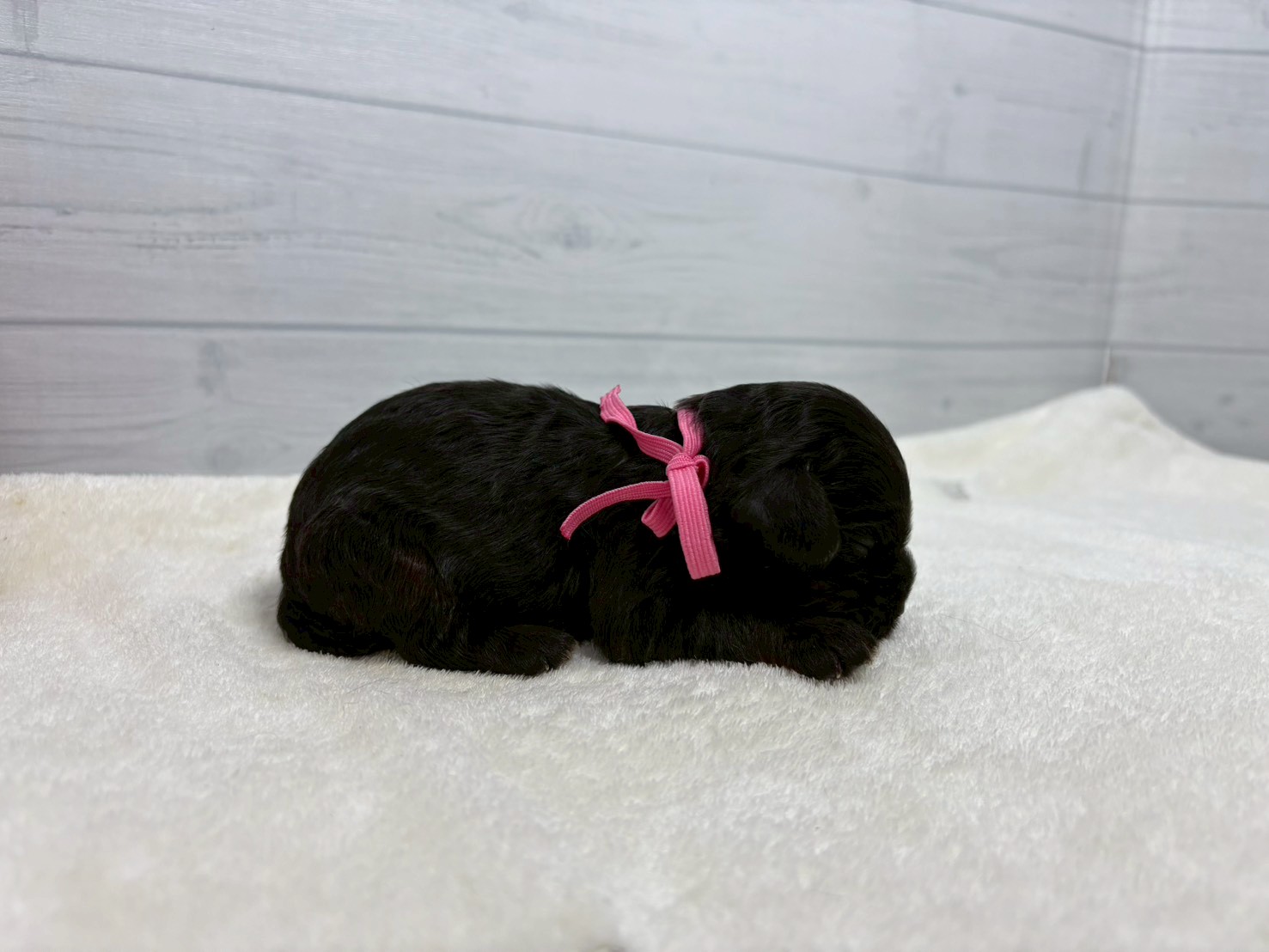 赤ちゃん写真1-2