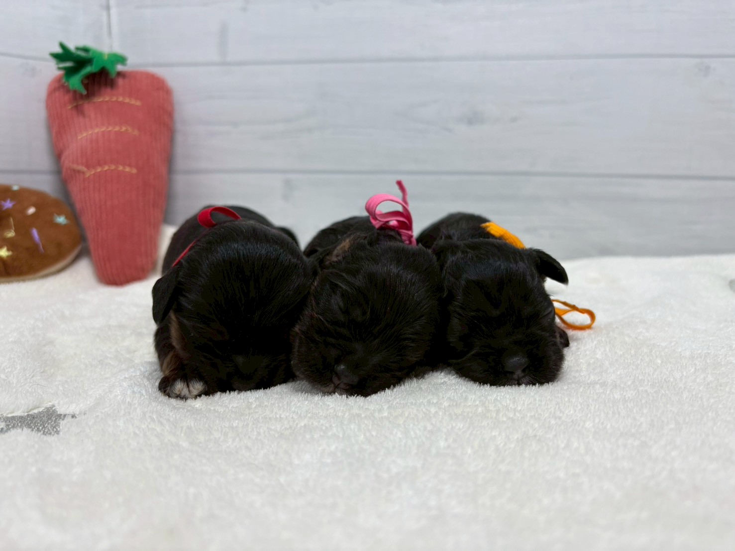 赤ちゃん写真1-3
