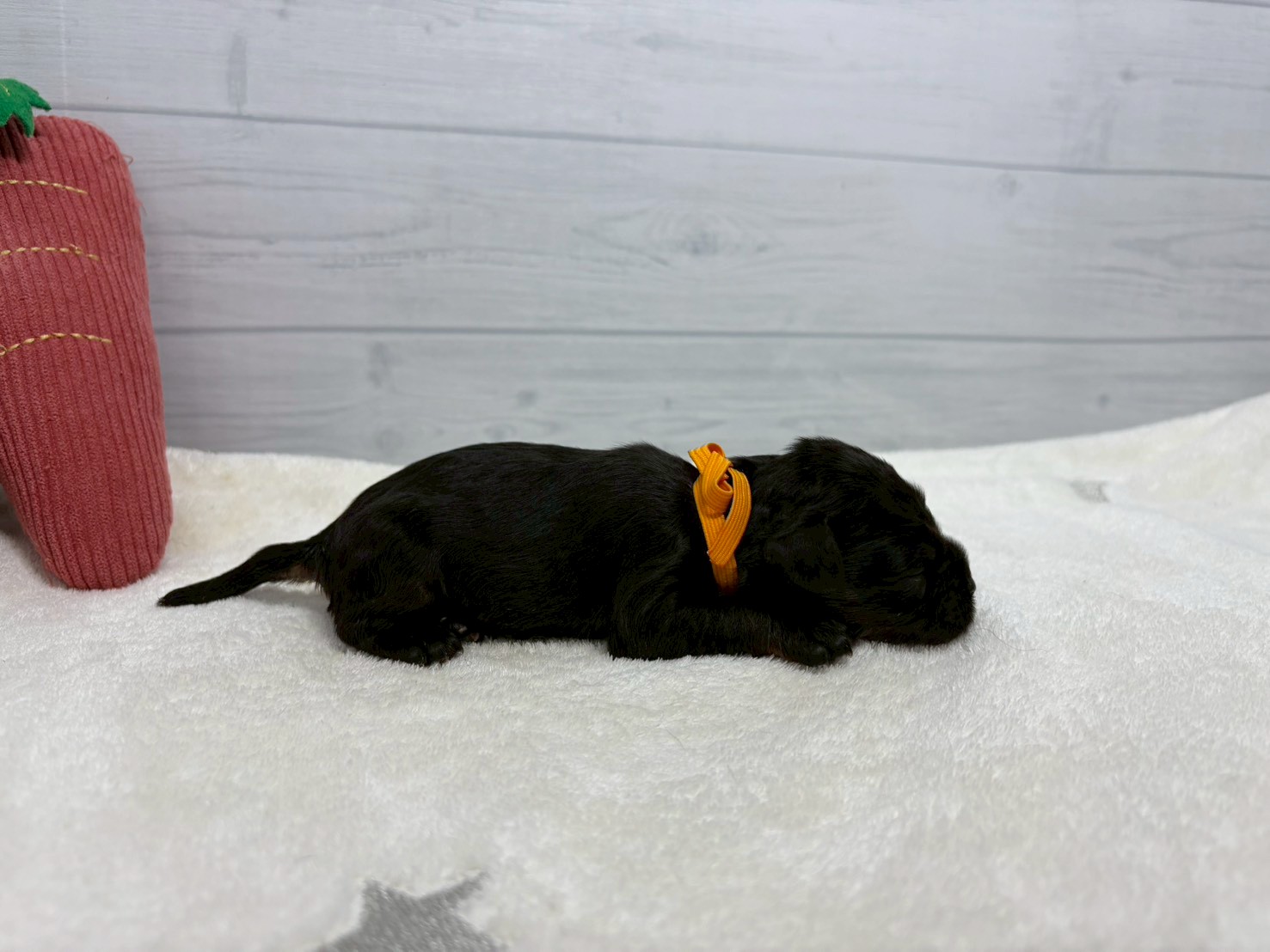 赤ちゃん写真1-2