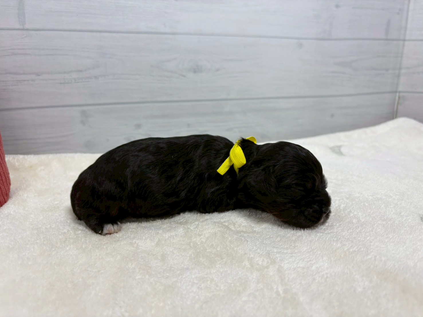 赤ちゃん写真1-2