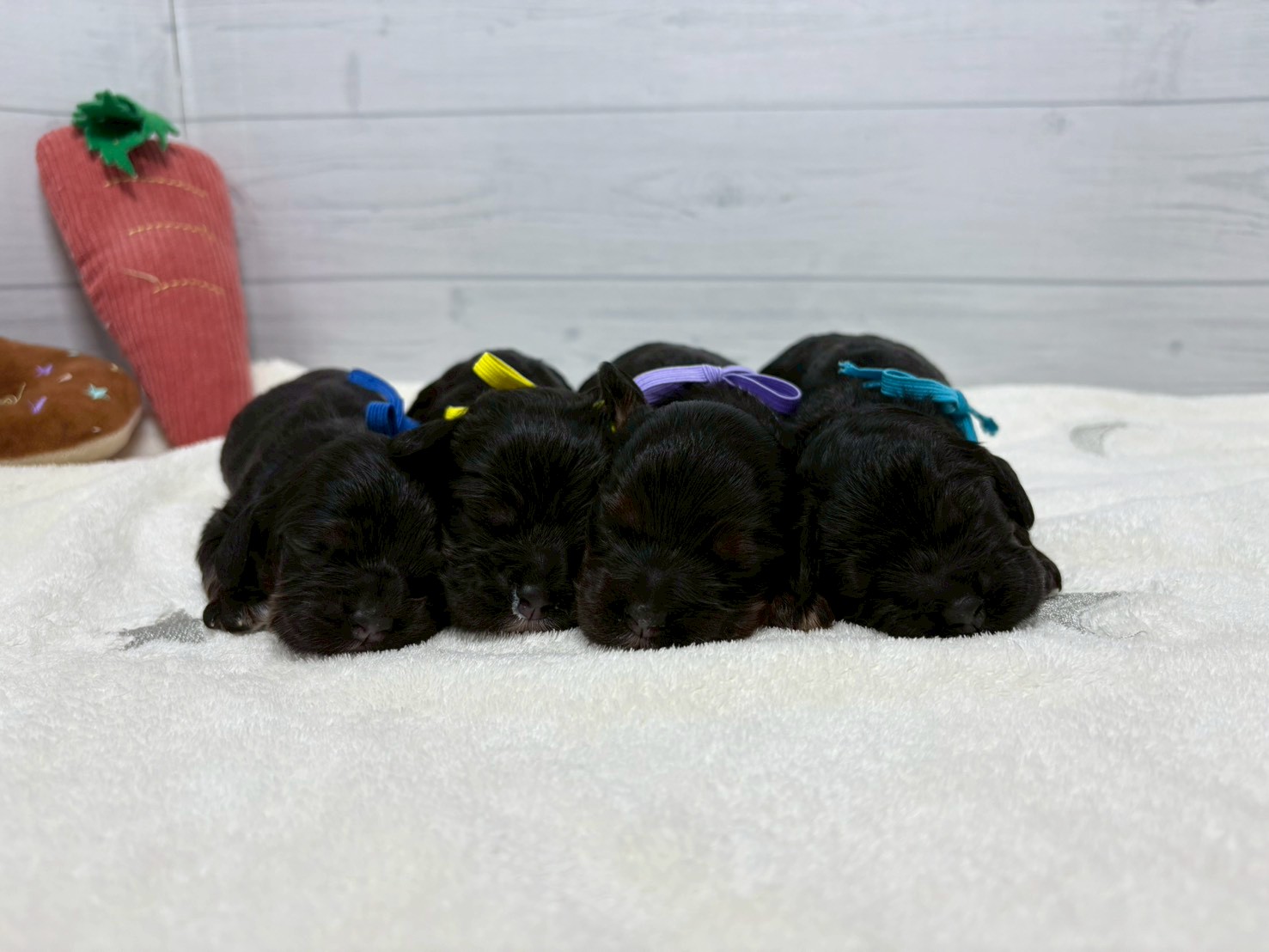 赤ちゃん写真1-3