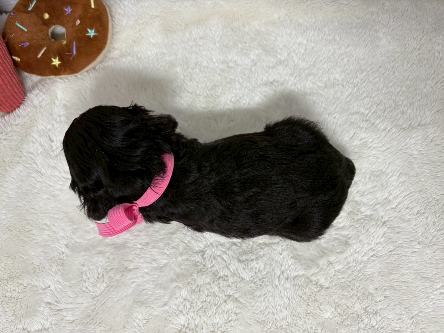 赤ちゃん写真2-3