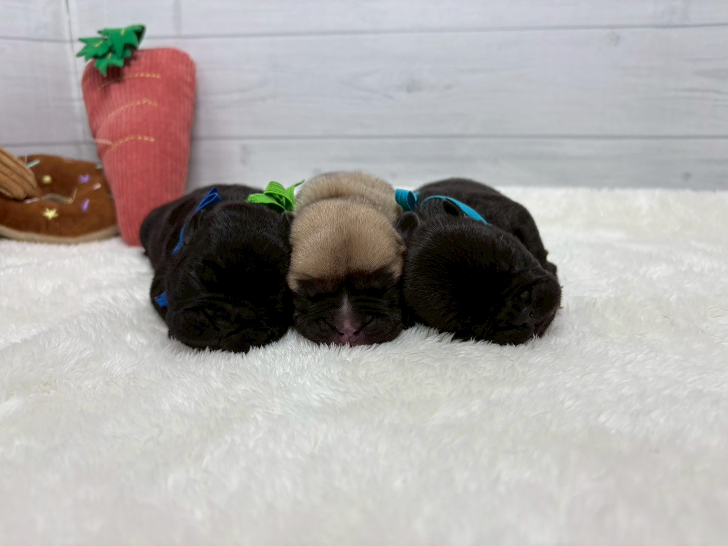 赤ちゃん写真1-3