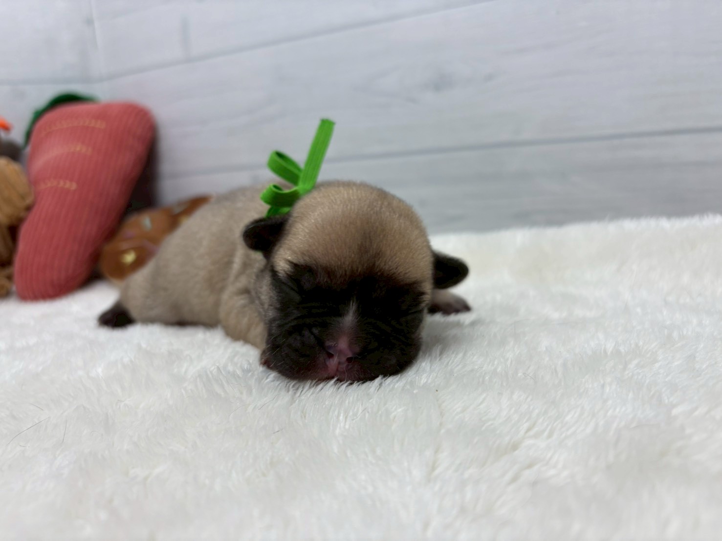 赤ちゃん写真1-1