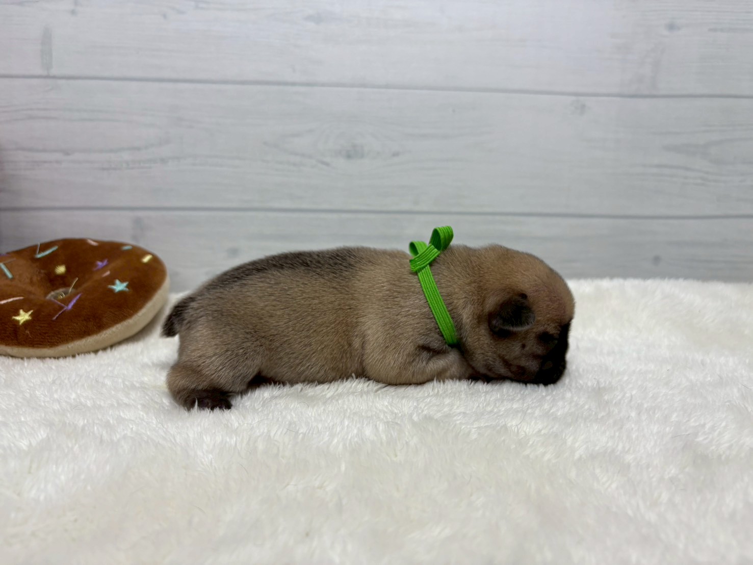 赤ちゃん写真1-2