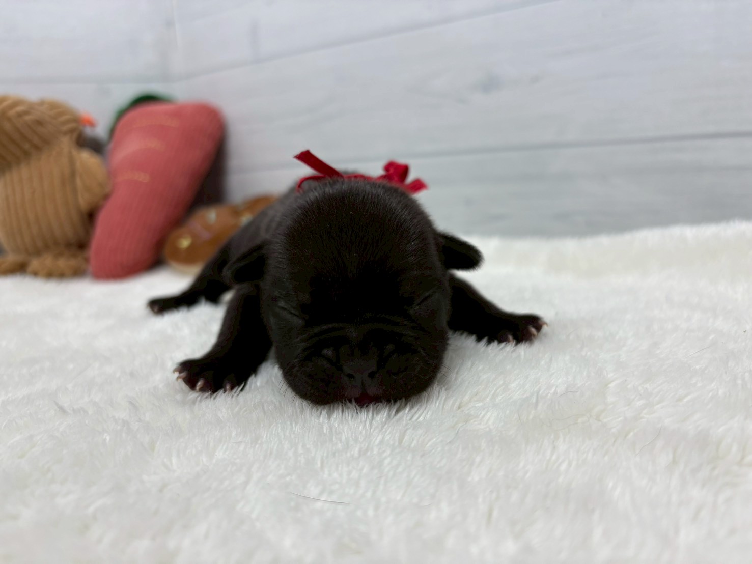 赤ちゃん写真1-1