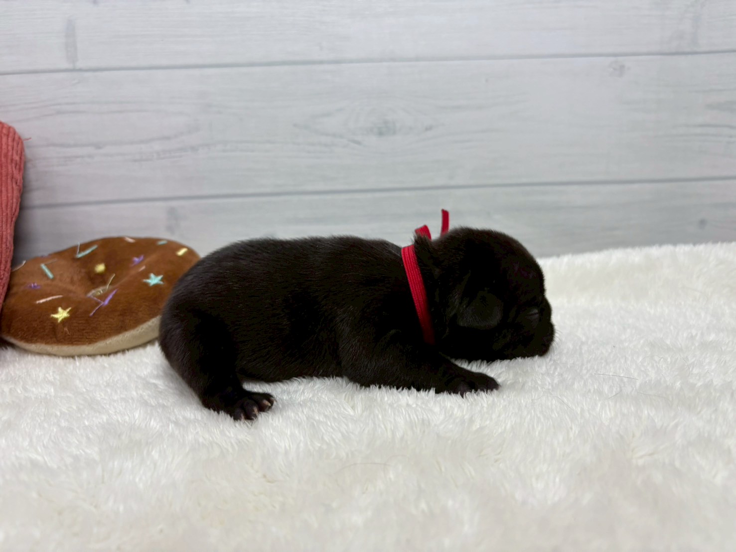 赤ちゃん写真1-2