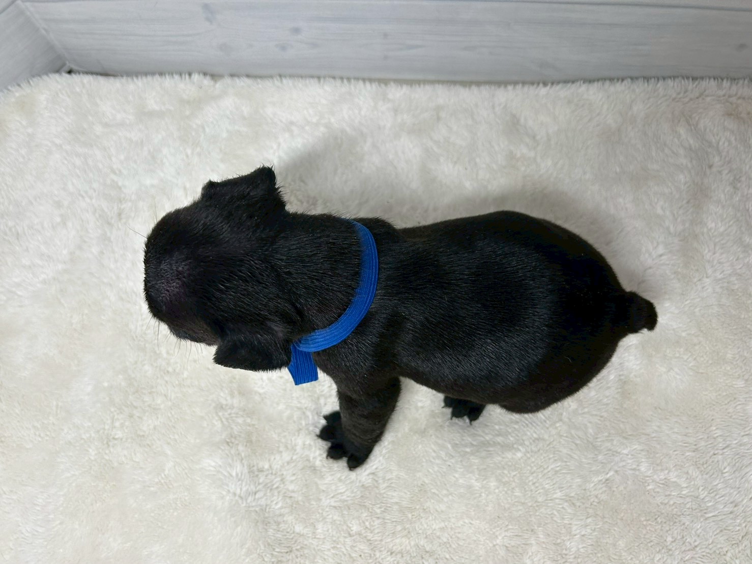 赤ちゃん写真2-3