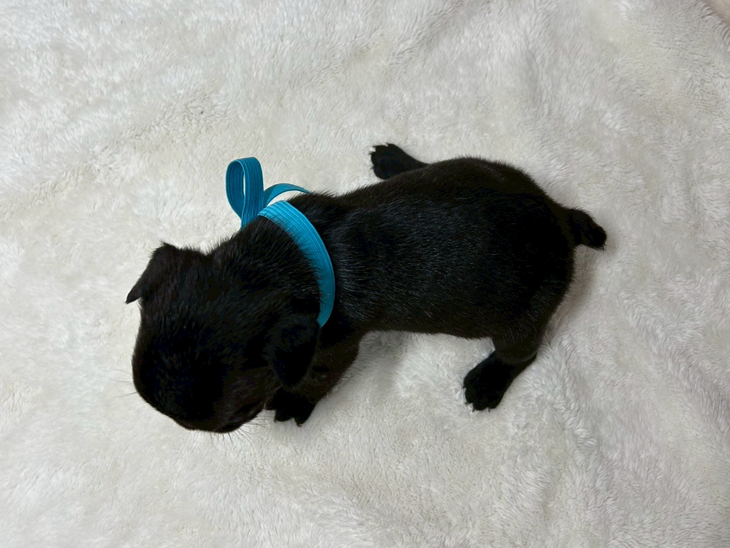 赤ちゃん写真2-3