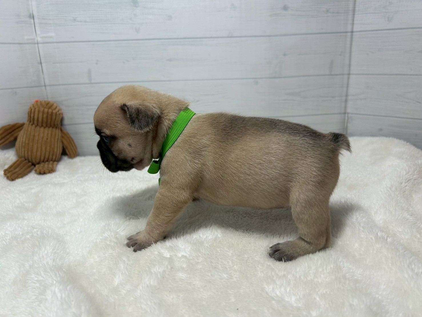 赤ちゃん写真2-2