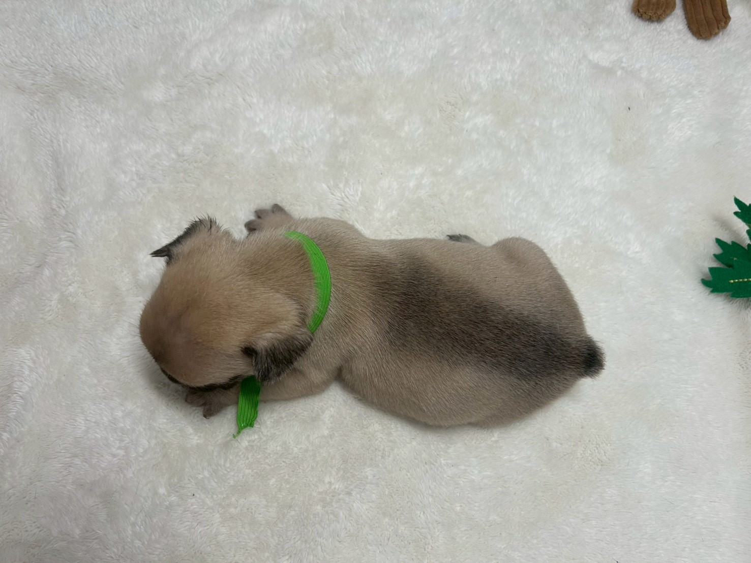 赤ちゃん写真2-3