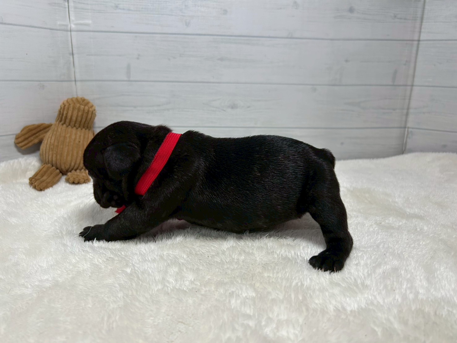 赤ちゃん写真2-2