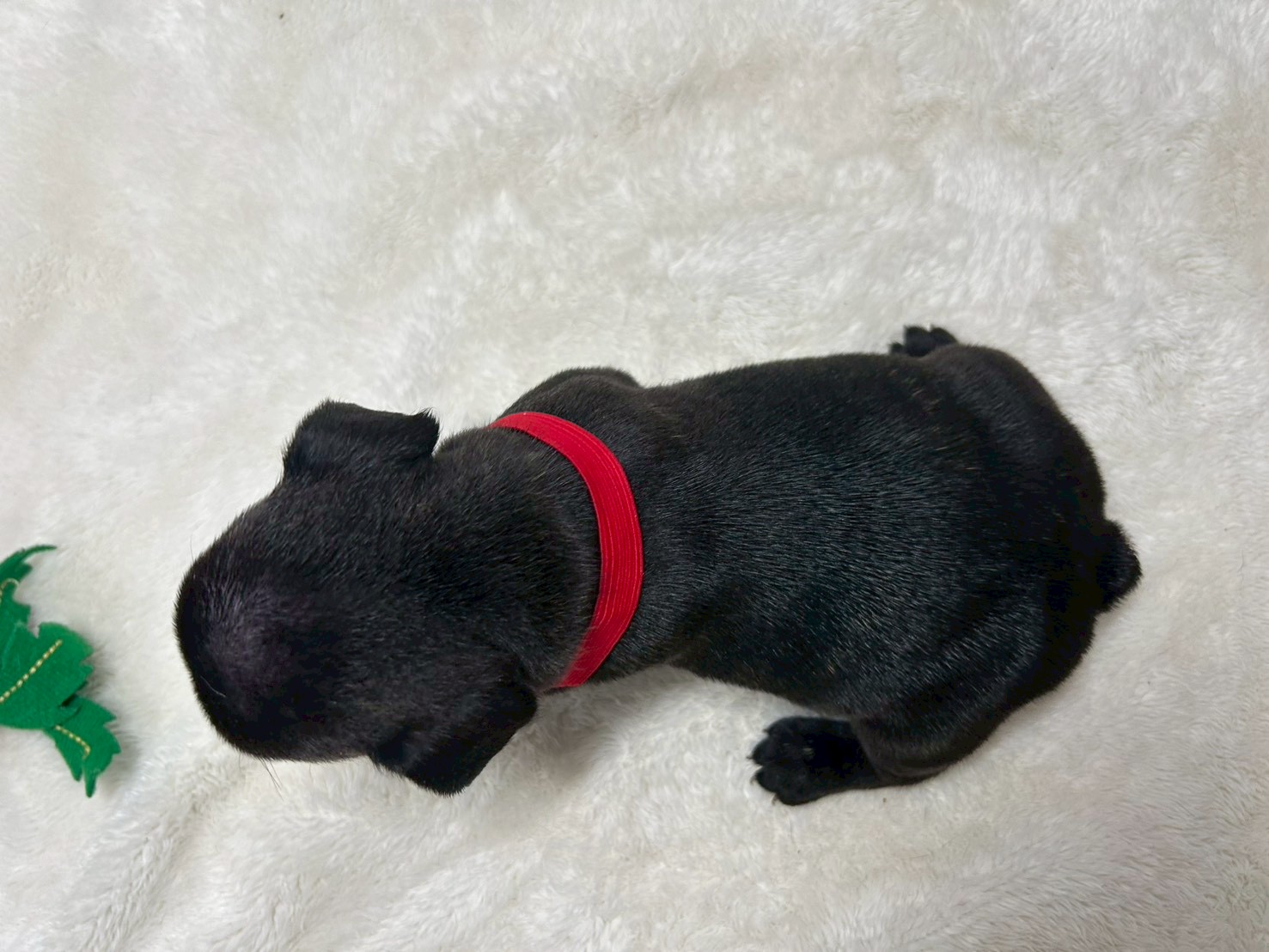 赤ちゃん写真2-3