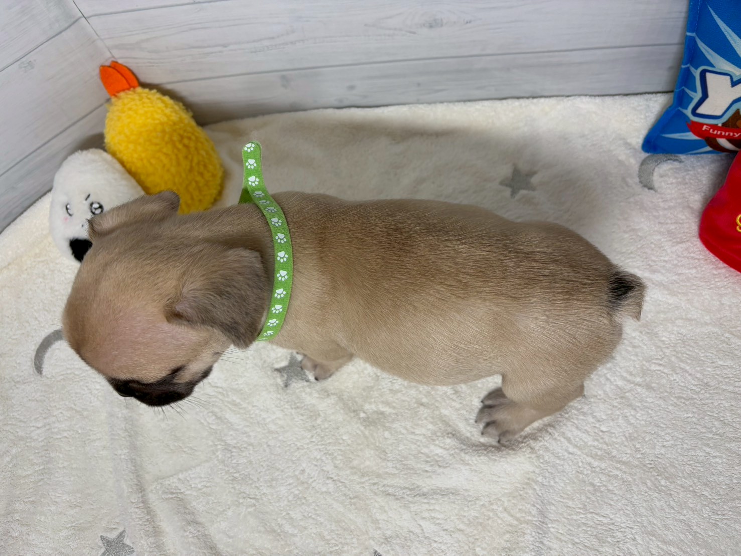 赤ちゃん写真3-3
