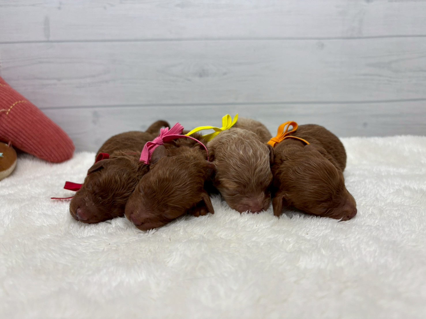 赤ちゃん写真1-3