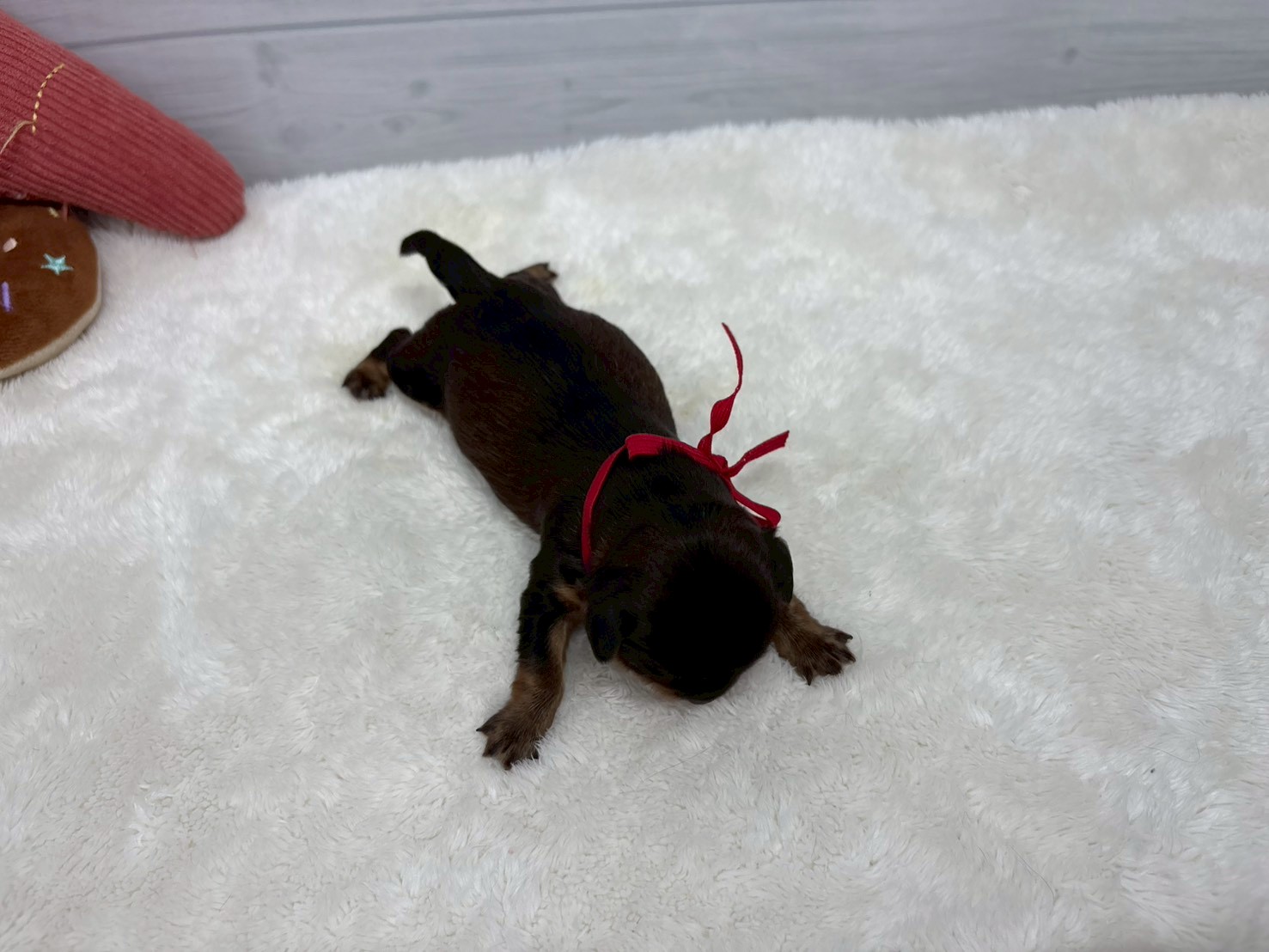 赤ちゃん写真1-3