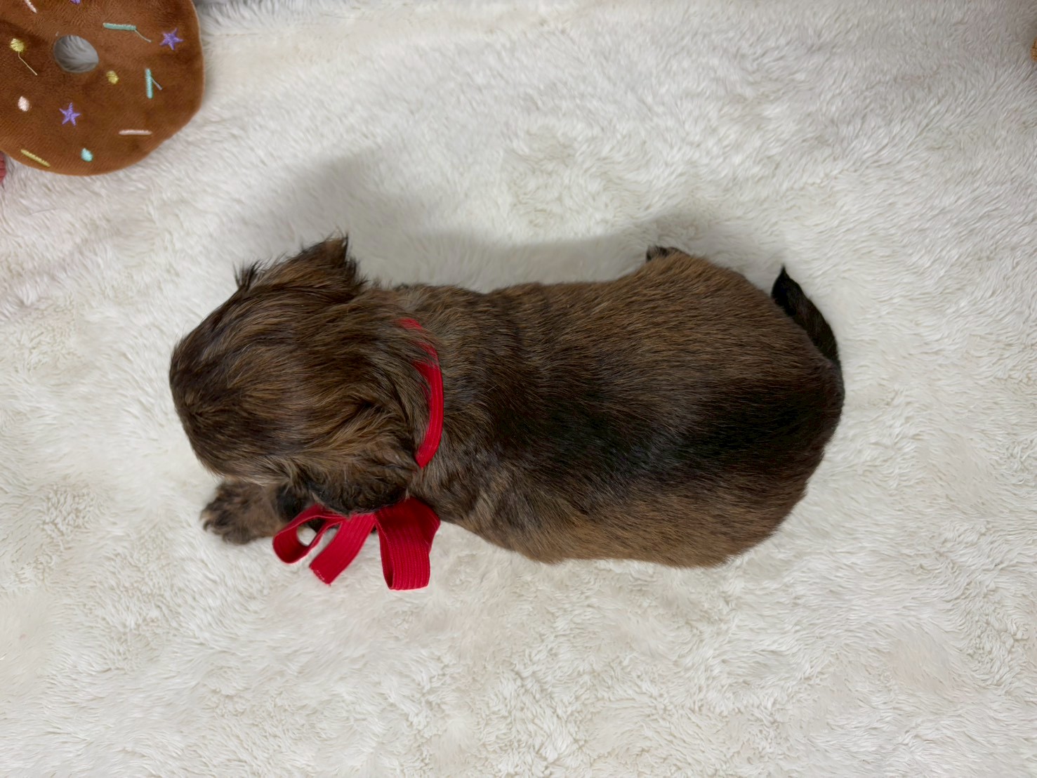 赤ちゃん写真2-3