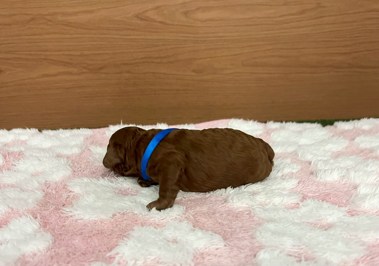 赤ちゃん写真1-2