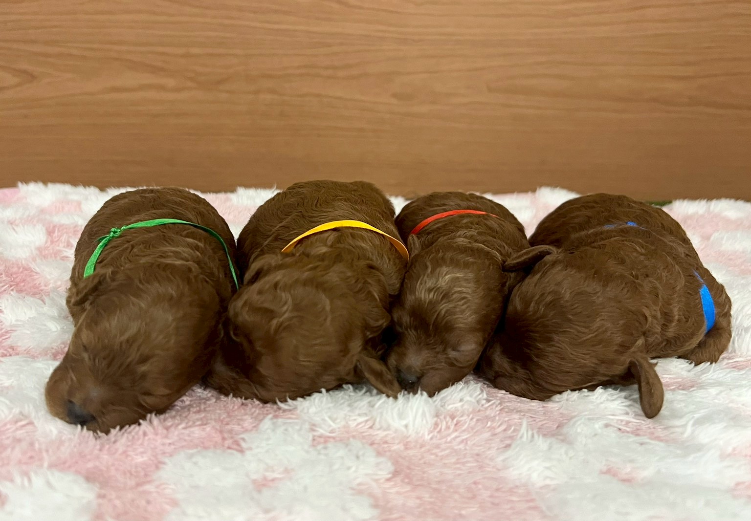 赤ちゃん写真1-3
