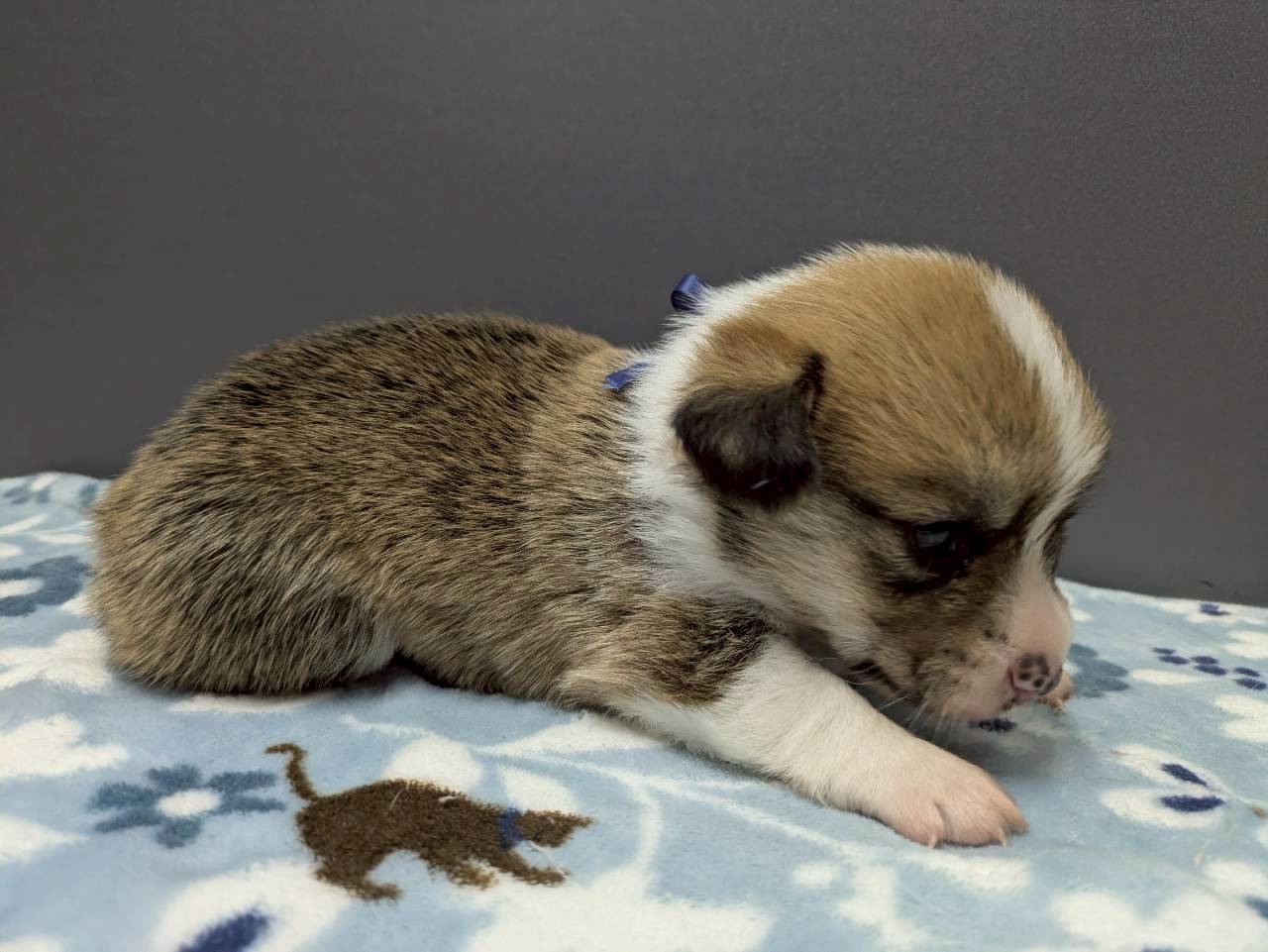 赤ちゃん写真2-2