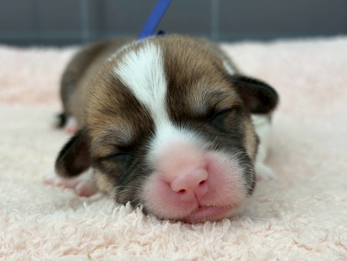 赤ちゃん写真1-1