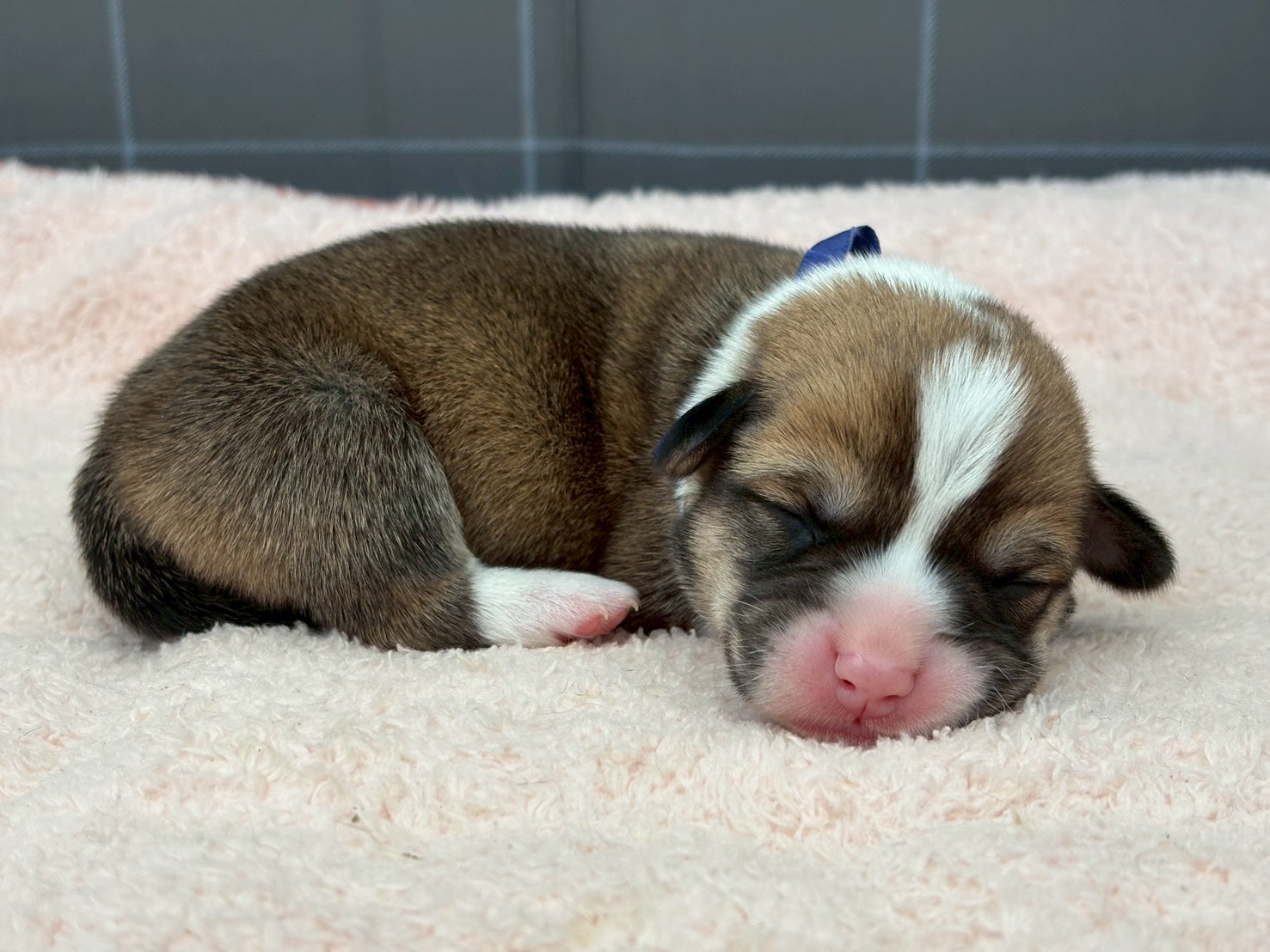 赤ちゃん写真1-2