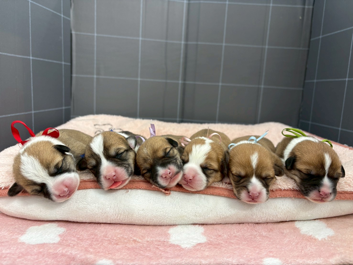 赤ちゃん写真1-3