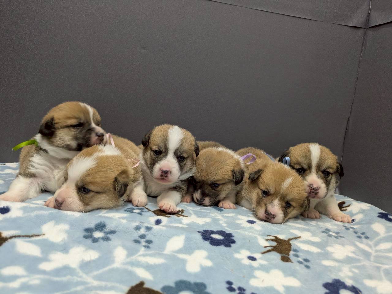 赤ちゃん写真2-3