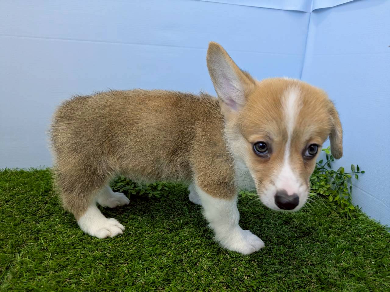 赤ちゃん写真3-2