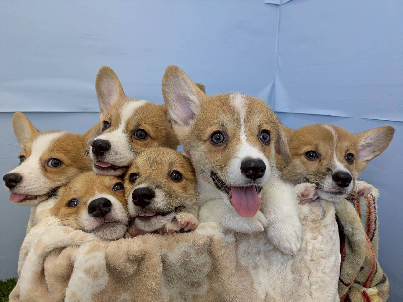 赤ちゃん写真3-3