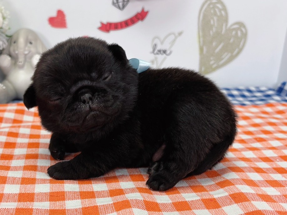 赤ちゃん写真1-2