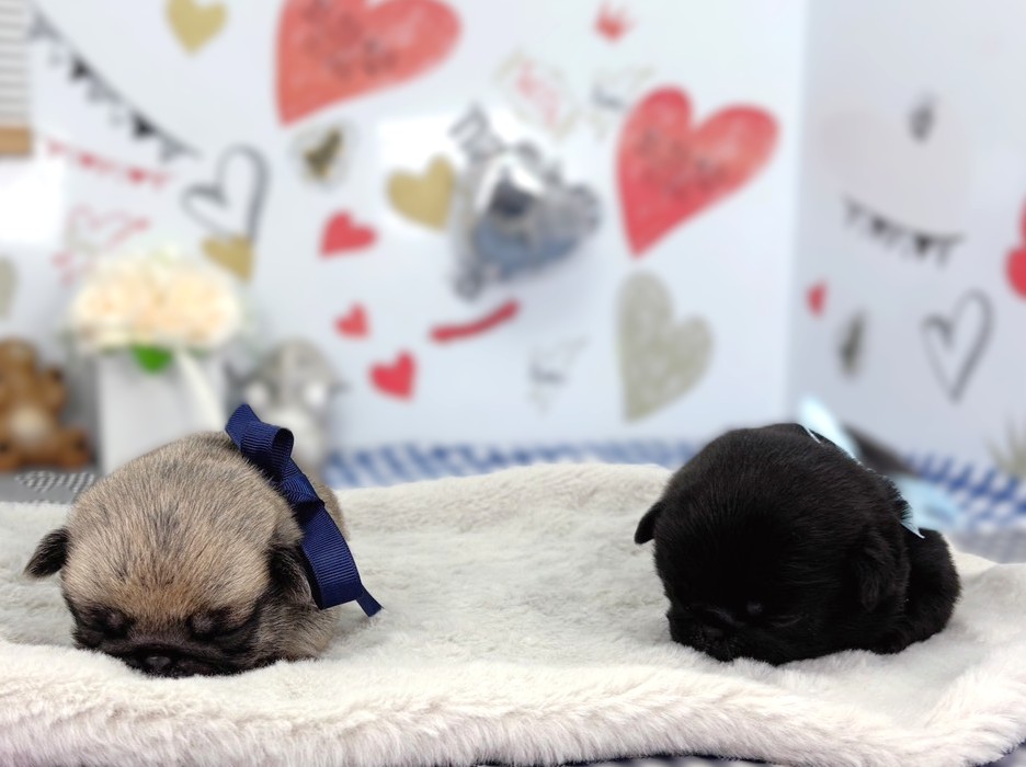 赤ちゃん写真1-3