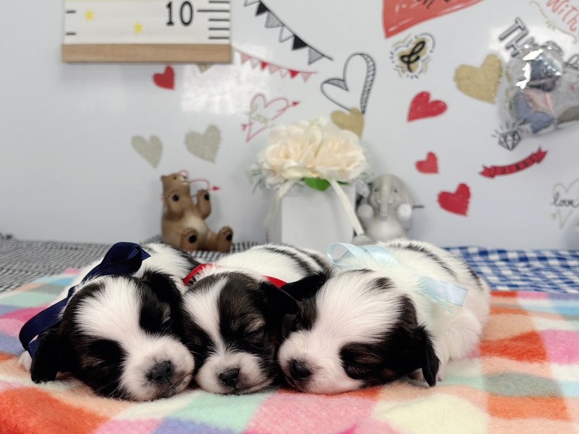 赤ちゃん写真1-3
