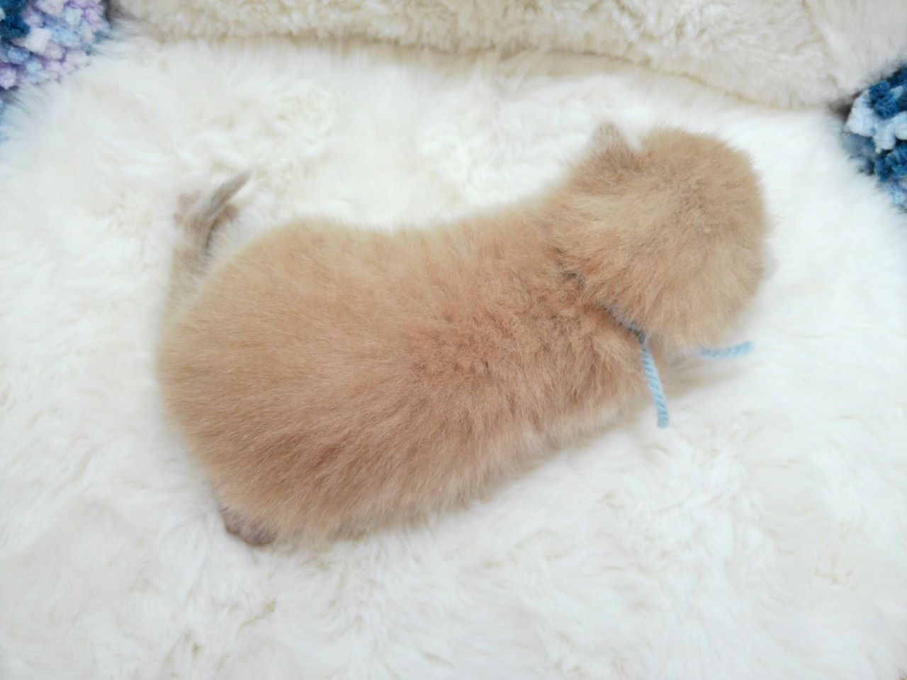 赤ちゃん写真1-3