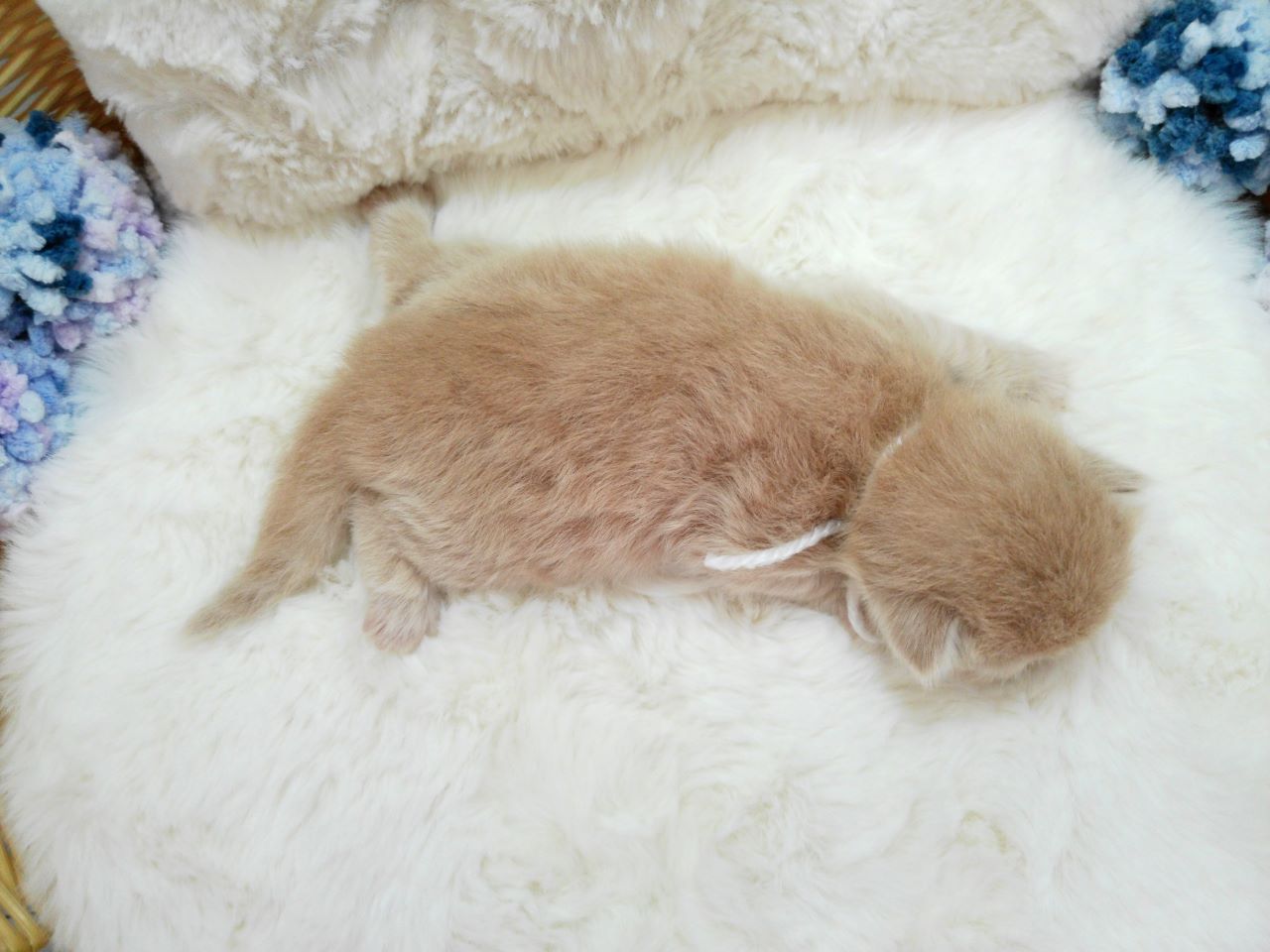 赤ちゃん写真1-3